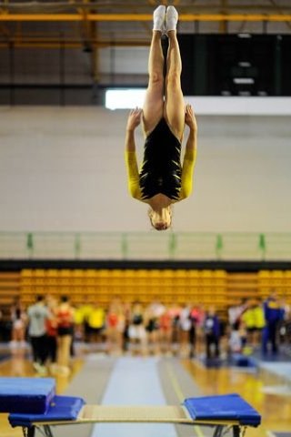 gimnasia_trampolin_unegimnasia